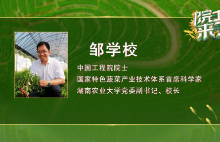 “辣椒院士”鄒學(xué)校：讓辣椒樹(shù)成為農(nóng)民的“搖錢樹(shù)”