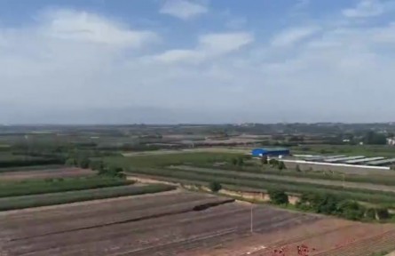 陜西：“網(wǎng)紅”進田間 代言“鄉(xiāng)村好物”