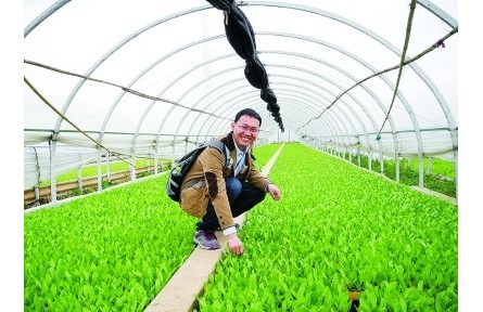 果蔬育種師：陪果蔬一起成長的青春，甜甜的