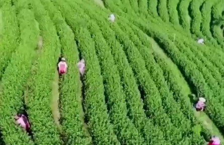 【偉大復(fù)興 壯麗航程】神州巨變 小康夢圓