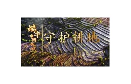 《端牢中國飯碗》系列報(bào)道