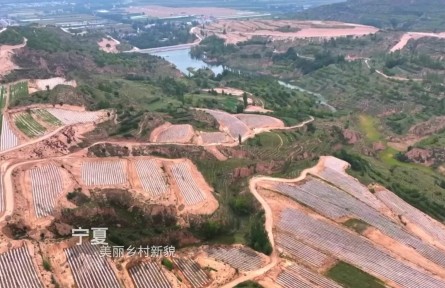 “塞上江南”萬象新——寧夏以黨建引領(lǐng)加快推進鄉(xiāng)村全面振興紀實