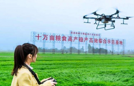 農(nóng)業(yè)品牌重磅文件接連發(fā)布 釋放哪些信號？