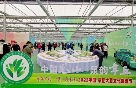 大蔥長(zhǎng)得高，百姓生活好——山東章丘大蔥收獲見(jiàn)聞