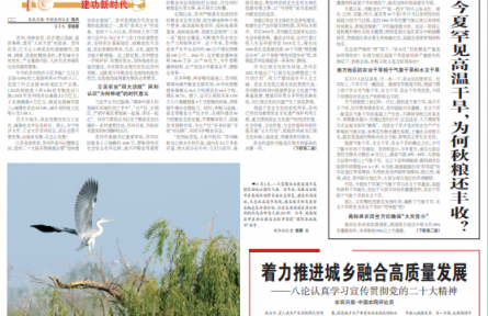 今夏罕見高溫干旱，為何秋糧還豐收？