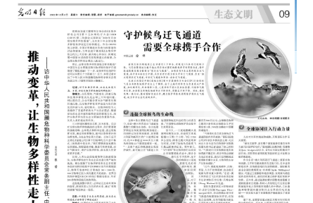 推動(dòng)變革，讓生物多樣性走上復(fù)蘇之路