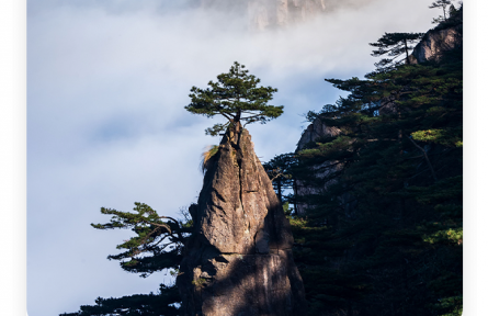 王勃：老當(dāng)益壯，寧移白首之心；窮且益堅，不墜青云之志