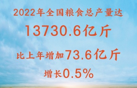 增產(chǎn)豐收！2022年全國糧食總產(chǎn)量達13730.6億斤