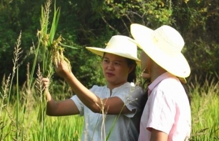 廖莉：“電”亮青春的鄉(xiāng)村“90后”