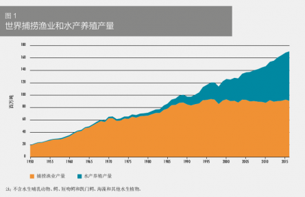 科普 | 在海洋中“放牧”——海洋如何變糧倉？