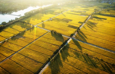 科技名詞 | 灌區(qū)  irrigation district，irrigation area