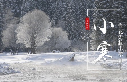 小寒，梅花先趁小寒開