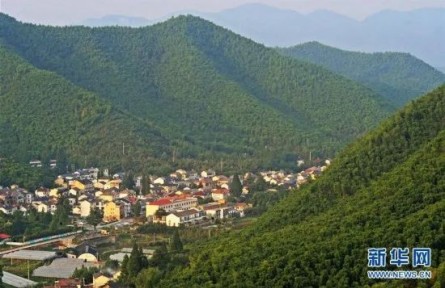 “為什么說綠水青山就是金山銀山？”