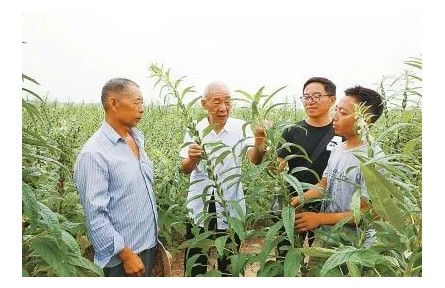 “中國好人”劉世揚：我這輩子，就做育種一件事
