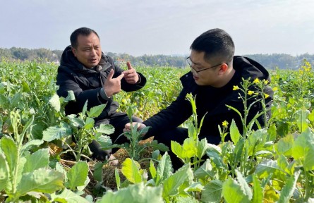 “冬閑人忙”放手干——湖南新型糧油生產(chǎn)經(jīng)營(yíng)主體新春走訪見聞