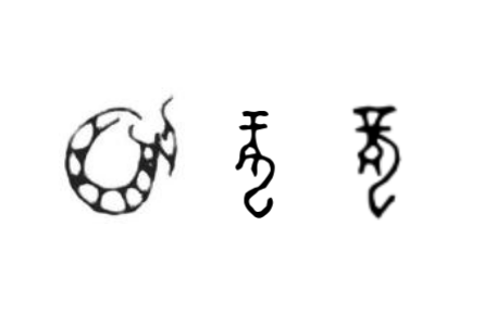 咬文嚼字 |“龍”，你到底是什么？