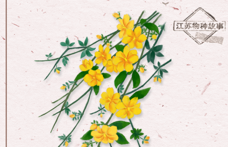 物種故事 | 迎春花：迎得春來非自足，百花千卉共芬芳