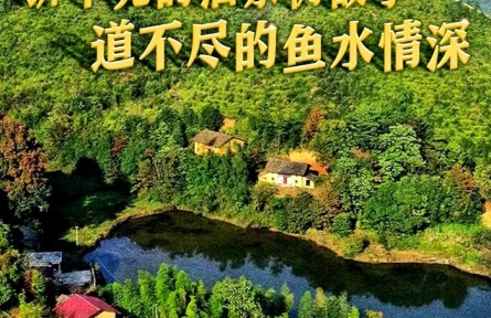 十年兩會(huì)·溫暖記憶｜“講不完的油茶樹故事，道不盡的魚水情深”
