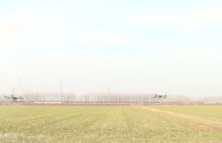 江蘇邳州：科技助力春管 61.5萬畝大蒜進入返青期
