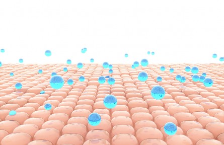 科技名詞 | 皮膚老化 skin aging，cutaneous aging