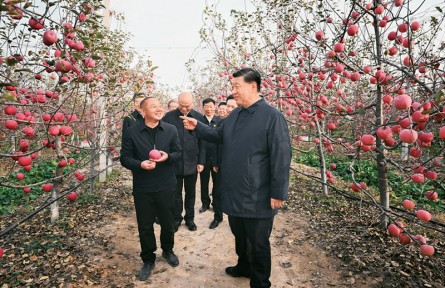習近平：加快建設農(nóng)業(yè)強國 推進農(nóng)業(yè)農(nóng)村現(xiàn)代化