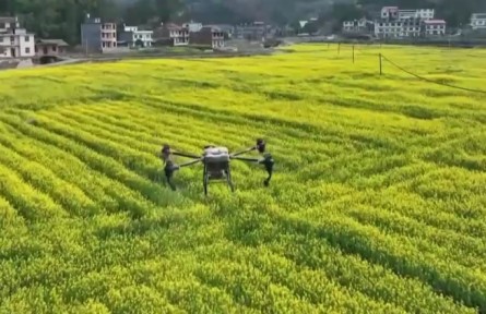 春耕備耕：農(nóng)資保供跟得上 供應(yīng)量足價穩(wěn)
