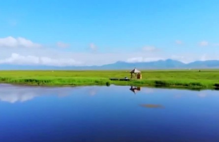 【新思想引領(lǐng)新征程】加強生態(tài)保護(hù)修復(fù) 厚植美麗中國根基