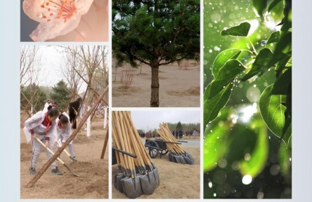 時政新聞眼 | 在今年首都義務植樹現(xiàn)場，習近平這三句話飽含深意