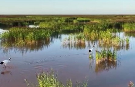 母親河生機(jī)勃勃 黃河禁漁專項(xiàng)執(zhí)法行動啟動