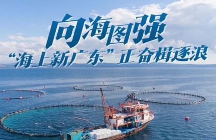 向海圖強(qiáng)！“海上新廣東”正奮楫逐浪