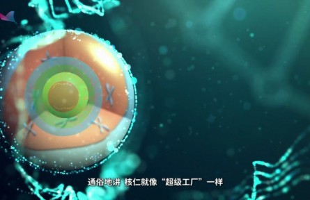 科普 | 上?？茖W(xué)家發(fā)現(xiàn)核糖體RNA“超級(jí)工廠”的運(yùn)行新機(jī)制