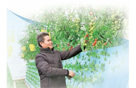 徐偉忠：氣霧栽培，種出瓜果蔬菜