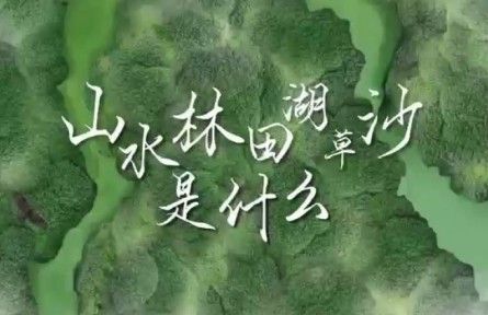 世界地球日 | 山水林田湖草沙是什么？