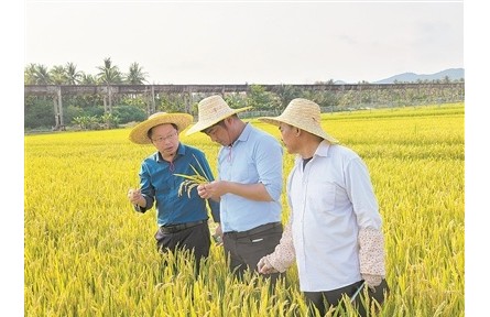 40年南北遷徙，育種人無問西東——記江蘇里下河地區(qū)農(nóng)業(yè)科學(xué)研究所水稻育種團隊