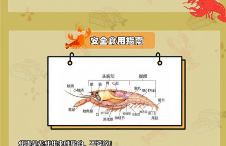 小龍蝦自帶寄生蟲？體內(nèi)藏著重金屬？吃小龍蝦原來有這些講究