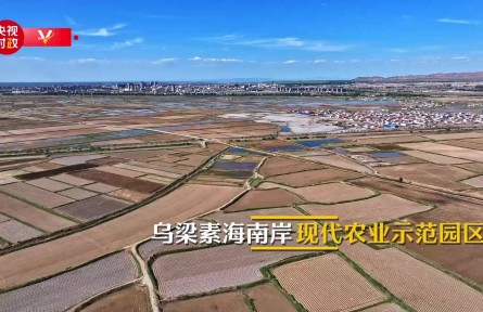 習近平內蒙古行|建好現(xiàn)代農業(yè)園區(qū) 帶動農業(yè)高質量發(fā)展——走進烏梁素海南岸現(xiàn)代農業(yè)示范園