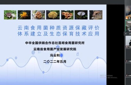 中華全國供銷合作總社昆明食用菌研究所“云南食用菌種質資源收集保存、鑒定評價和生態(tài)促繁技術應用”成果評價公告【2022（47號）】