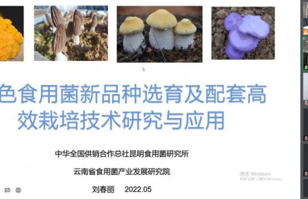 中華全國供銷合作總社昆明食用菌研究所“特色食用菌新品種選育及配套高效栽培技術創(chuàng)新與產業(yè)化應用”成果評價公告【2022（48號）】