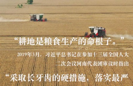 習(xí)近平總書記關(guān)切事|藏糧于地、藏糧于技，筑牢豐收之基