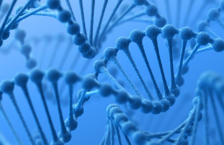 科技名詞 | 酵母人工染色體 yeast artificial chromosome，YAC