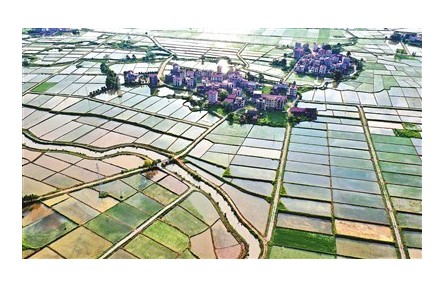 糧食生產如何應對今夏“大烤”？