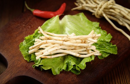 魚腥草是“害人草”含有一級(jí)致癌物？來看真相