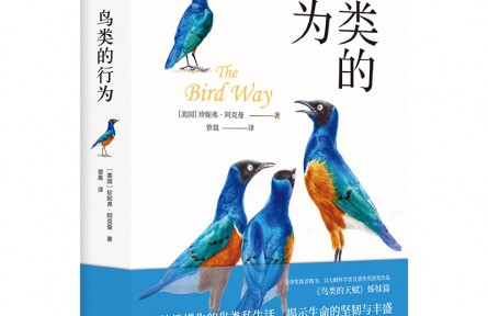 妙趣橫生的鳥類私生活，顛覆你的傳統(tǒng)認(rèn)知