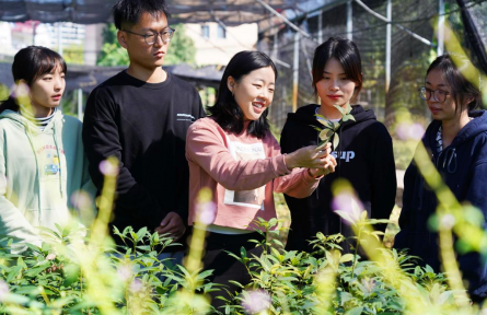浙江農林大學：把科技播種在“夢開始的地方”