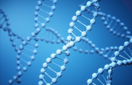 科技名詞 | 分子伴侶  Chaperone，Molecular chaperone