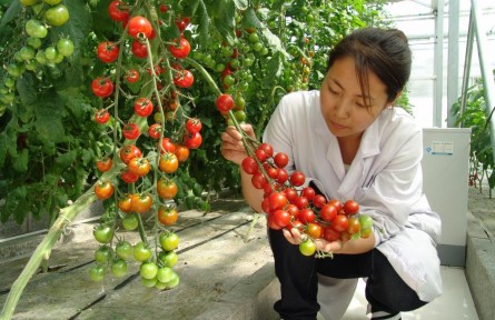 豐收季，來看這個(gè)國家農(nóng)業(yè)科技園區(qū)的“黑科技”