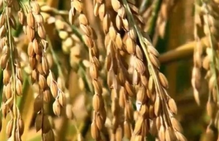 270億、200余億、15億，通過數(shù)據(jù)看經(jīng)濟……