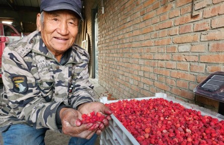 黑龍江甘南：?？h共建 為農(nóng)業(yè)插上科技的翅膀