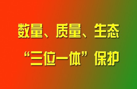 習(xí)近平論強(qiáng)化耕地?cái)?shù)量、質(zhì)量、生態(tài)“三位一體”保護(hù)