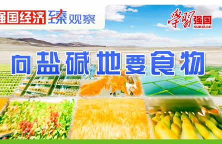 強國經(jīng)濟“臻”觀察|向鹽堿地要食物
